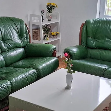 Modern Spacious Vis Apartment! 5min Cafes Raška