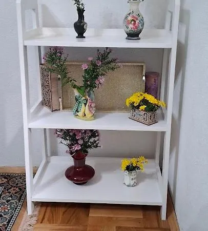 Modern Spacious Vis Apartment! 5min Cafes דירה