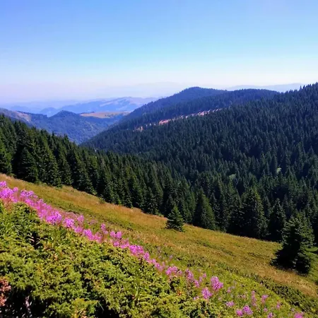 Modern Spacious Vis Apartment! 5min Cafes Raška