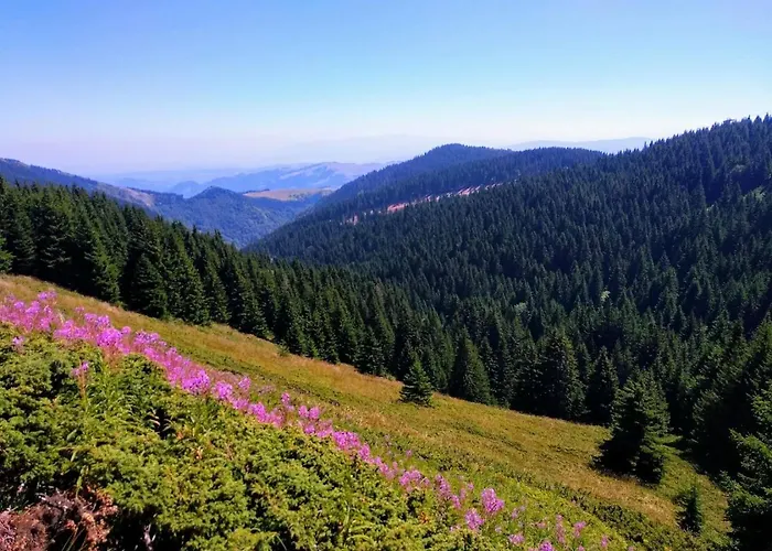 Modern Spacious Vis Apartment! 5min Cafes Raska