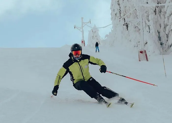 Апартаменты Modern Spacious Vis Apartment! 5min Cafes